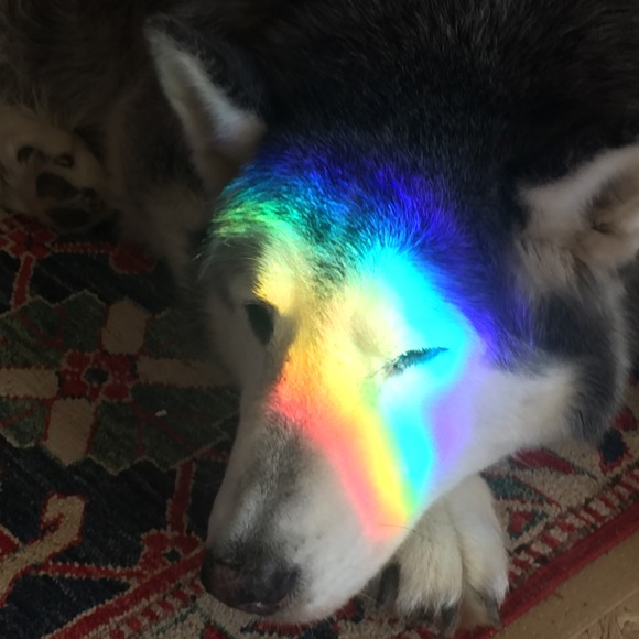 thegreenwolf